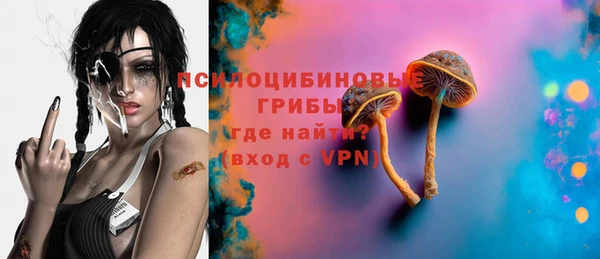 прущая мука Арсеньев