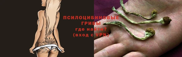 прущая мука Арсеньев