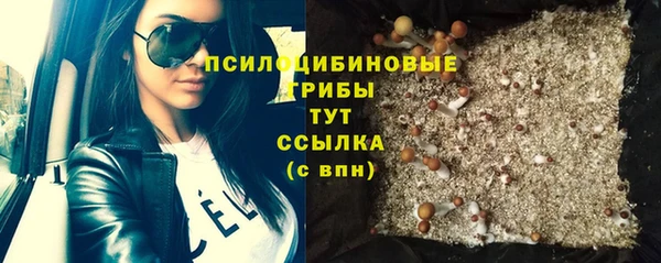 прущая мука Арсеньев
