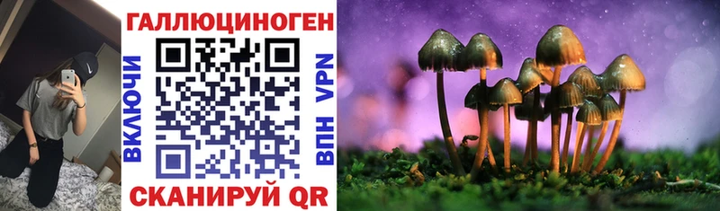 наркота  Дзержинск  Галлюциногенные грибы Psilocybine cubensis 